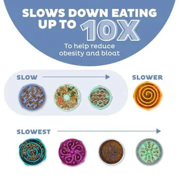 Outward Hound Large Slow Feeder Dog Bowl for Healthy Eating