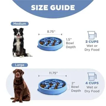 Outward Hound Large Slow Feeder Dog Bowl for Healthy Eating