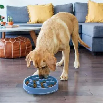 Outward Hound Large Slow Feeder Dog Bowl for Healthy Eating