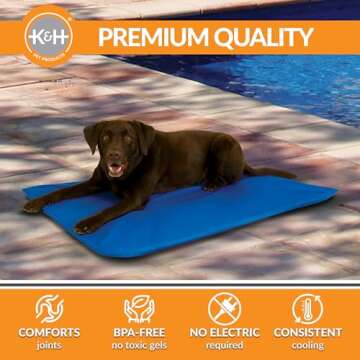 K&H Pet Products Cool Bed III Dog Cooling Mat, Indoor Outdoor Cooling Beds for Large Dogs, Chilling Pet Pad for in Home, Outdoor Houses, Crates, Yards, Porches - Large 44 X 32in Chill Blue
