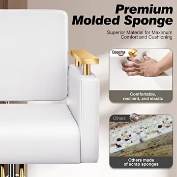 Baasha Gold & White Hydraulic Salon Chair with Stainless Steel Armrests