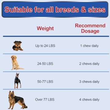 ColEaze Dog Joint Supplement - Glucosamine & MSM Chews