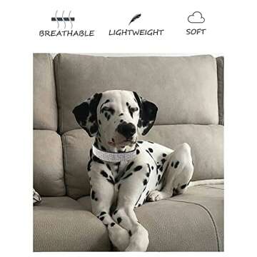 Dog Collar for Small Dogs, Adjustable Leather Suede Bling Dog Collars，Pink Dog Collar Cat Collar, Rhinestone Dog Collar(S, Pink)