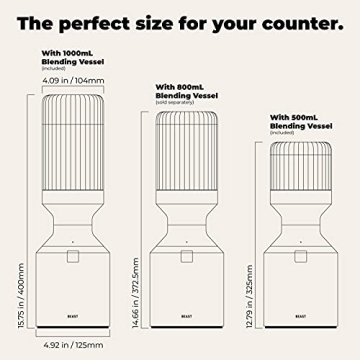 Beast Blender 1000W Premium Countertop Blender for Smoothies