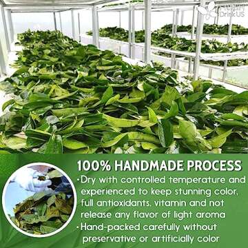 120+ Premium Soursop Graviola Dried Leaves, 120-130 Natural Leaves, Whole Soursop Leaves, Wildcrafted, Graviola, Soursop, Hoja Guanabana, Soursop Loose Leaf Herbal Tea, No Gluten, Vegan