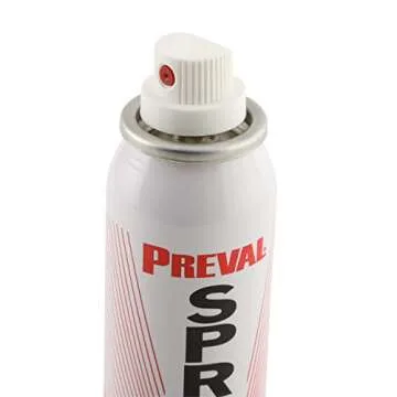 Versatile Preval 0227 Sprayer System for Easy Painting