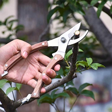 BUGUI Wood Handle Pruning Shears with SK-5 Steel Blade