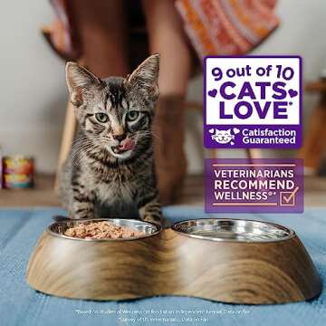 Wellness CORE Grain-Free Signature Selects Wet Cat Food, Natural Pet Food Made with Real Meat (Chunky Beef & Chicken, 2.8-Ounce, Pack Of 12)