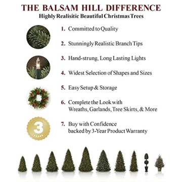 Balsam Hill 7ft Pre-Lit European Silver Fir Artificial Christmas Tree