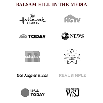 Balsam Hill 7ft Pre-Lit European Silver Fir Artificial Christmas Tree