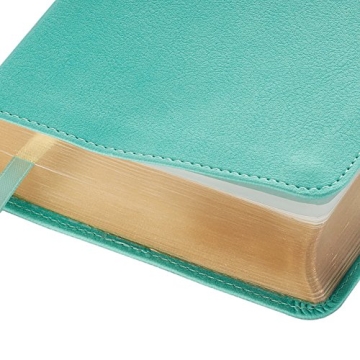 KJV Compact Large Print Bible in Beautiful Robin's Egg Blue