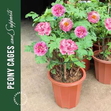 LEOBRO Plant Support Stakes, 4 PCS Plant Stakes, Plant Support, Peony Cages and Supports, Garden Sta...