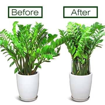 LEOBRO Plant Support Stakes, 4 PCS Plant Stakes, Plant Support, Peony Cages and Supports, Garden Stakes, Plant Holder, Plant Stakes for Outdoor Plants, Peony Hydrangea Support Cage, 9.8" W x 15.7" H