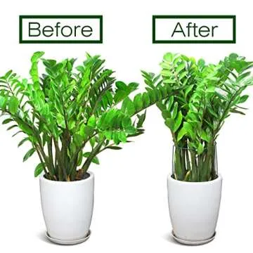 LEOBRO Plant Support Stakes, 4 PCS Plant Stakes, Plant Support, Peony Cages and Supports, Garden Stakes, Plant Holder, Plant Stakes for Outdoor Plants, Peony Hydrangea Support Cage, 9.8" W x 15.7" H