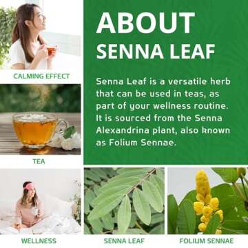 Jiva Organics Organic Senna Leaf 8 Ounce Bulk Bag - Cut & Sifted Tea - Non-GMO - Senna Alexandrina, Folium Sennae