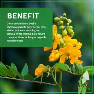 Jiva Organics Organic Senna Leaf Tea - Natural Laxative