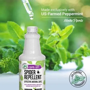 Mighty Mint Spider Repellent Peppermint Oil Spray - 16oz Natural