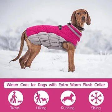 FUAMEY Dog Coat for Small Dogs - Waterproof Winter Jacket with Built-in Harness