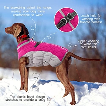 FUAMEY Waterproof Dog Coat for Small Dogs - Warm & Stylish