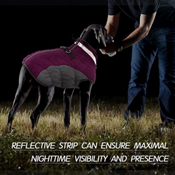 FUAMEY Waterproof Dog Coat for Small Dogs - Warm & Stylish