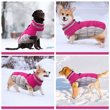 FUAMEY Waterproof Dog Coat for Small Dogs - Warm & Stylish
