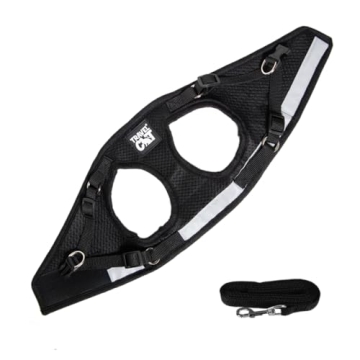 Travel Cat Harness and Leash Set for Safe Outdoor Adventures