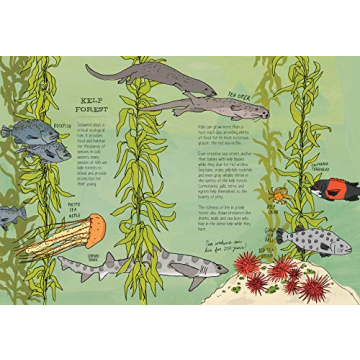 Explore Ocean Anatomy with Stunning Illustrations