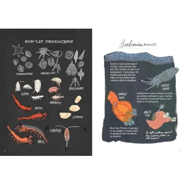 Explore Ocean Anatomy with Stunning Illustrations