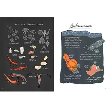 Explore Ocean Anatomy with Stunning Illustrations