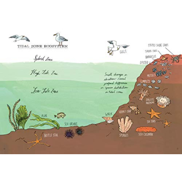 Explore Ocean Anatomy with Stunning Illustrations
