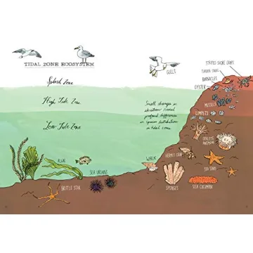 Explore Ocean Anatomy with Stunning Illustrations