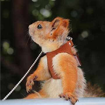 Squirrel Traction Rope Strap Anti-Biting Chain Rope, Adjustable Vest, Small Animal Walking Harness w...