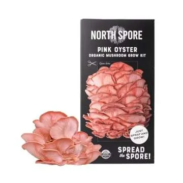North Spore Organic Pink Oyster Mushroom Spray & Grow Kit (4 lbs) | USDA-Certified Organic, Non-GMO, Beginner-Friendly & Easy to Use | Handmade in Maine, USA