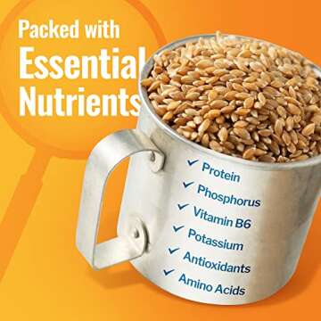 Ancient Grains Khorasan Wheat Berries, Ancient Grains Emmer Wheat Berries,Rye Grain Spelt Berries, Einkorn Berries, Organic & Non-GMO, Rich in Vitamins & Minerals