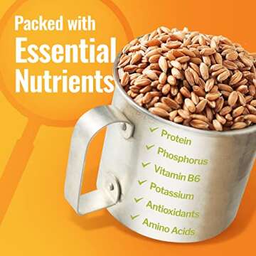 Ancient Grains Khorasan Wheat Berries, Ancient Grains Emmer Wheat Berries,Rye Grain Spelt Berries, Einkorn Berries, Organic & Non-GMO, Rich in Vitamins & Minerals