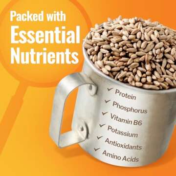 Ancient Grains Khorasan Wheat Berries, Ancient Grains Emmer Wheat Berries,Rye Grain Spelt Berries, Einkorn Berries, Organic & Non-GMO, Rich in Vitamins & Minerals