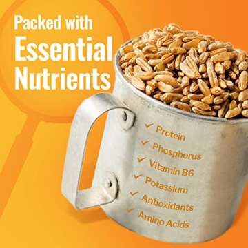 Ancient Grains Khorasan Wheat Berries, Ancient Grains Emmer Wheat Berries,Rye Grain Spelt Berries, Einkorn Berries, Organic & Non-GMO, Rich in Vitamins & Minerals