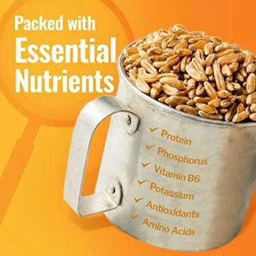 Ancient Grains Khorasan Wheat Berries, Ancient Grains Emmer Wheat Berries,Rye Grain Spelt Berries, Einkorn Berries, Organic & Non-GMO, Rich in Vitamins & Minerals