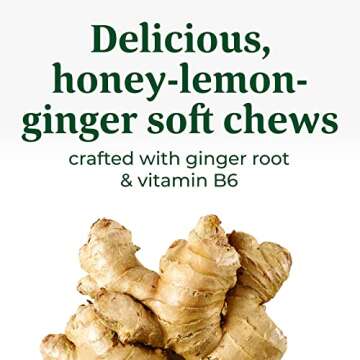 MegaFood Baby & Me 2 Prenatal Morning Sickness Relief Soft Chews -With Real Ginger and Vitamin B6 - Vegetarian - Made Without 9 Food Allergens - Honey Lemon Ginger Flavor - 30 Chews