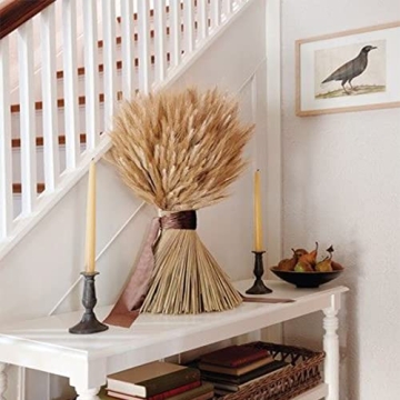 MHMJON 100 Pcs Dried Wheat Bundle for Home Decor