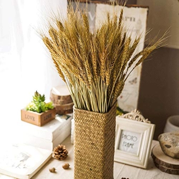 MHMJON 100 Pcs Dried Wheat Bundle for Home Decor