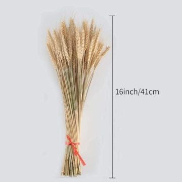 MHMJON 100 Pcs Dried Wheat Bundle for Home Decor