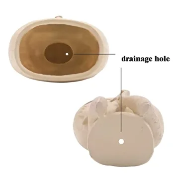 HUNTHAWK Unique Face Planter for Indoor Plants