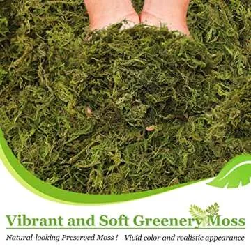 Riare 1.3LBS Artificial Fake Moss for Fake Plants Indoor- Premium Faux Craft Moss for Potted Plant, Fresh Green Moss Forest Moss for Hamsters Micro-Landscape Terrariums Centerpieces Decor