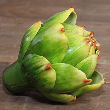 Li Hua Cat Artificial Artichoke Vegetables Wedding Party Home Decor Set of 6 (Large, Green)