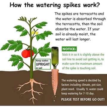 Terracotta Plant Watering Stakes Eco-Friendly Solution