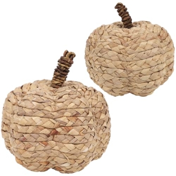 winemana 2 Pack Pumpkin Decor for Cozy Thanksgiving