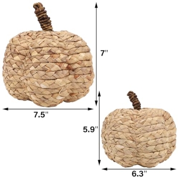 winemana 2 Pack Pumpkin Decor for Cozy Thanksgiving