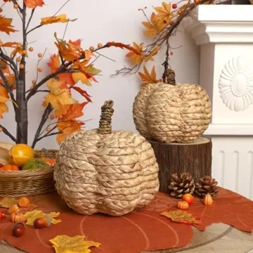 winemana 2 Pack Pumpkin Decor for Cozy Thanksgiving