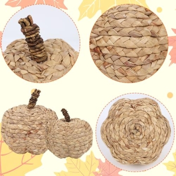 winemana 2 Pack Pumpkin Decor for Cozy Thanksgiving